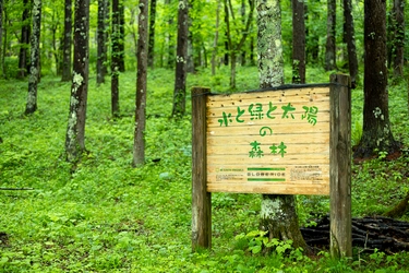 グローブライド、長野県CO2吸収量の認証を取得　 -地域の森林保全活動を支援し、持続可能な社会づくりへ貢献-