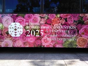 fIZZDKGvXdSATegEuMUk.jpg?w=940&h=940