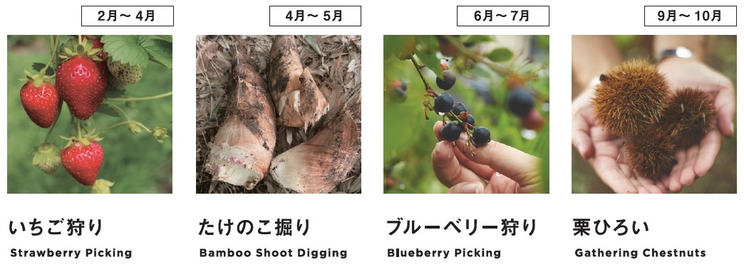 シーズン毎のイベント