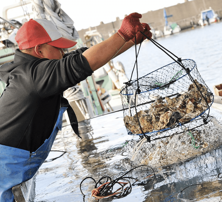 堺のBBQ施設「matoi」が阪南市の漁協と連携、地元で人気の「波有手(ぼうで)」生牡蠣を11月29日から冬季限定の目玉商品として提供