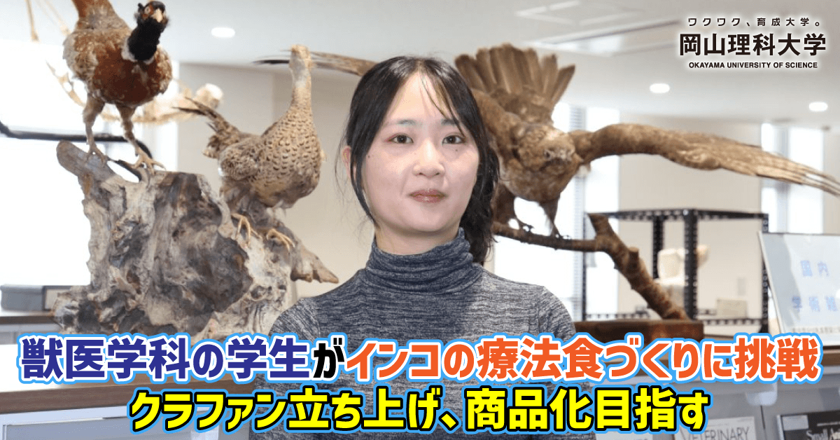 【岡山理科大学】獣医学科の学生がインコの療法食づくりに挑戦／クラファン立ち上げ、商品化目指す