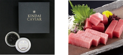 近大キャビア10g（1箱）（左）　近大マグロセット（右）