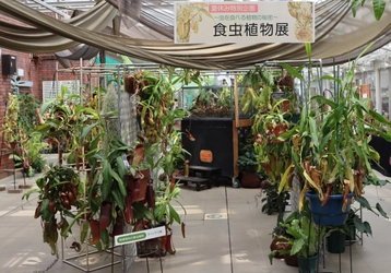 【神代植物公園】夏休み特別企画「食虫植物展」