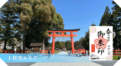 fKgfO4HaJhDoHrvNbglA.gif?w=940&h=940