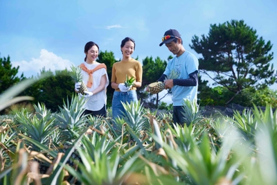 fL6Um3HDEHm1ArT6z4Zw.jpg?w=940&h=940