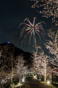 fLiYQRHoPqoMYHOooWi0.jpg?w=940&h=940