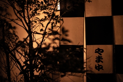 fLm21OAn6T4j1WJwXBCP.jpg?w=940&h=940