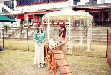 『のじまスコーラ ドッグフェス』 7 月 24 日開催！ ～ 愛犬と１日中一緒に楽しめるアクティビティと、ワンちゃん専用グッズ販売会～