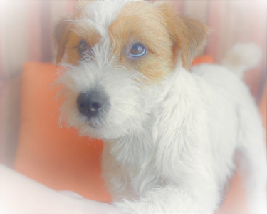 fMOEG4jz552b3gaNaqiZ.jpeg?w=940&h=940