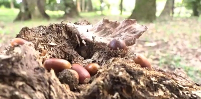 fMqU3JS4IcZG9zgt00qe.jpg?w=940&h=940