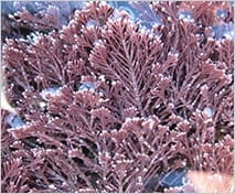 fNJLh2QT7Kj5Wr4r86rW.jpg?w=940&h=940