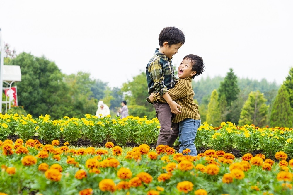 【千葉県野田市】清水公園花ファンタジア「秋の部」スタート！