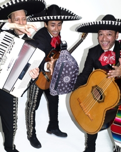 fP07hcWGk2LVFzhvqIsW.jpg?w=940&h=940