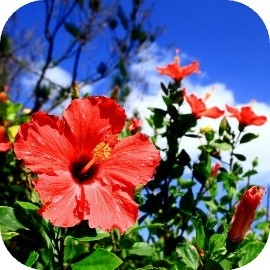 fQxPTMhONuhx6n6mEAUV.jpg?w=940&h=940