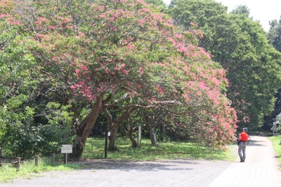 fSBaE9iARmr2hXEIafk6.JPG?w=940&h=940