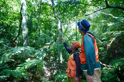 fSlZoT0q0vE92z7Rn2hd.jpg?w=940&h=940