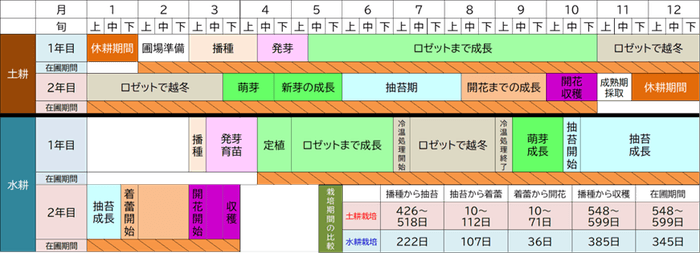 図3:水耕栽培と土耕栽培の栽培歴および栽培期間の比較