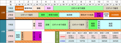 図3：水耕栽培と土耕栽培の栽培歴および栽培期間の比較