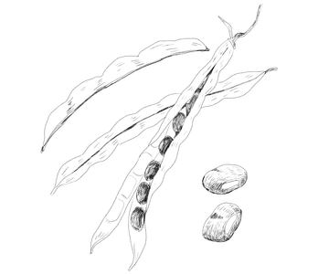 fT14cX0FR7rlrfrfGnNY.png?w=940&h=940