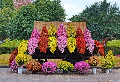 「神代花車」（令和7年度撮影）
