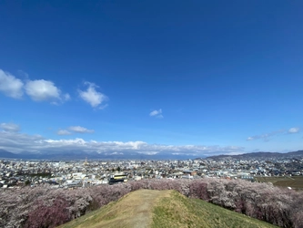 松本を“日本列島の丹田”に—氣の概念を言語化した書籍『龍がおよぐ 丹田のまち 松本』クラファン開始