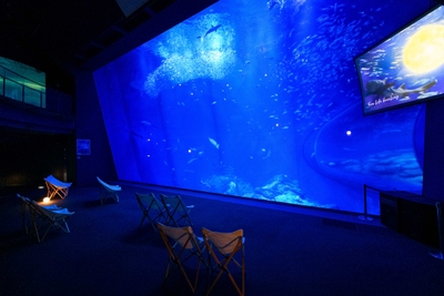 fU7rXlERDzdFlsnqNy9N.jpg?w=940&h=940