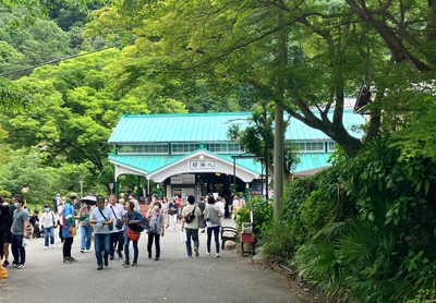 fVSGzV5UBBfttS62rPIv.JPG?w=940&h=940