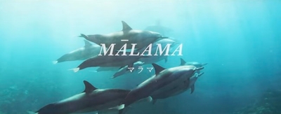 fVTxPrA3G4UcOnmEfAiR.jpg?w=940&h=940