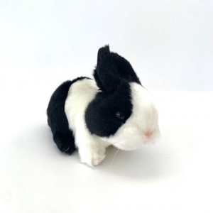 fVXKF0VfMP3CKvA7QPDl.jpg?w=940&h=940