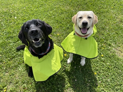 fWCWlzXS1q6OsBTfUiyL.jpg?w=940&h=940