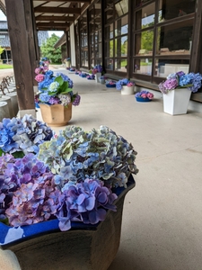 fWlqhkuwci2PmGgDQnVY.jpg?w=940&h=940