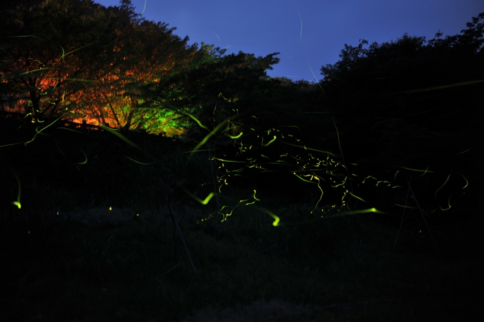 松川湖(奥野ダム)展望広場