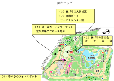 fWzb4StorrXGO9NlOVna.png?w=940&h=940