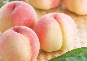 fXKjx7Cxy8Q6Mjw3S07h.jpg?w=940&h=940