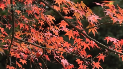 fY3bvLAykji1mOmftlZr.jpg?w=940&h=940