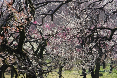 fZ0O6PWSMqQ38PqRsSi4.JPG?w=940&h=940