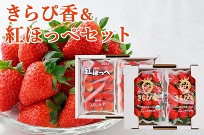 fZltkdpDPqXvGeJhVJYv.jpeg?w=940&h=940