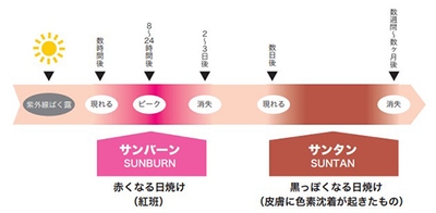 faDeTIER0zh0sdx7RkMJ.jpg?w=940&h=940