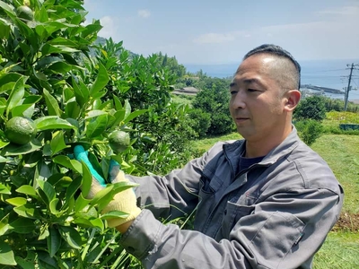 fatTcjn86FMi5diSYAmG.jpg?w=940&h=940