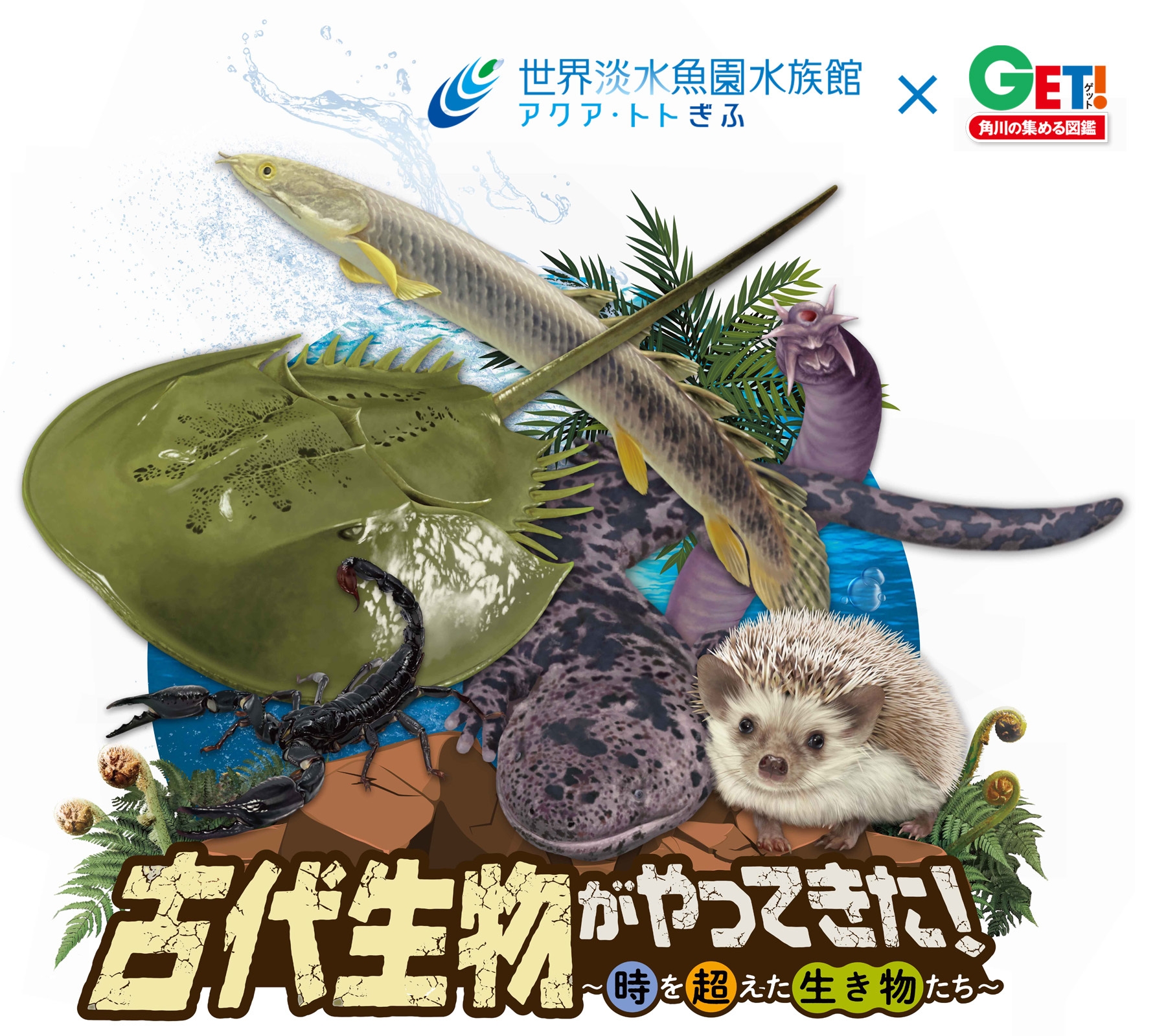 図鑑の世界に飛び込んで古代生物を学ぶ企画展を開催 | NEWSCAST
