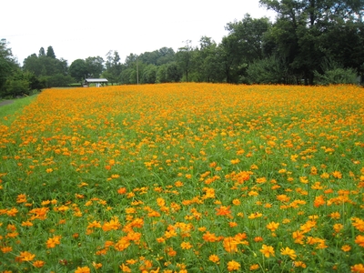 fbFtTG3unvNOW6riH5AD.jpg?w=940&h=940