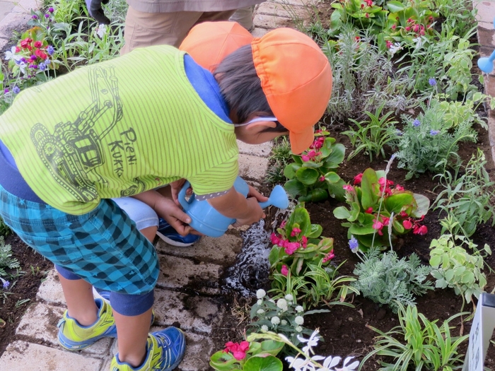 花壇活動(学校)