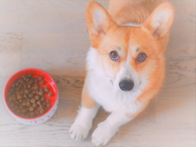 fbOsExvD1MD6pDlqe4xi.jpeg?w=940&h=940