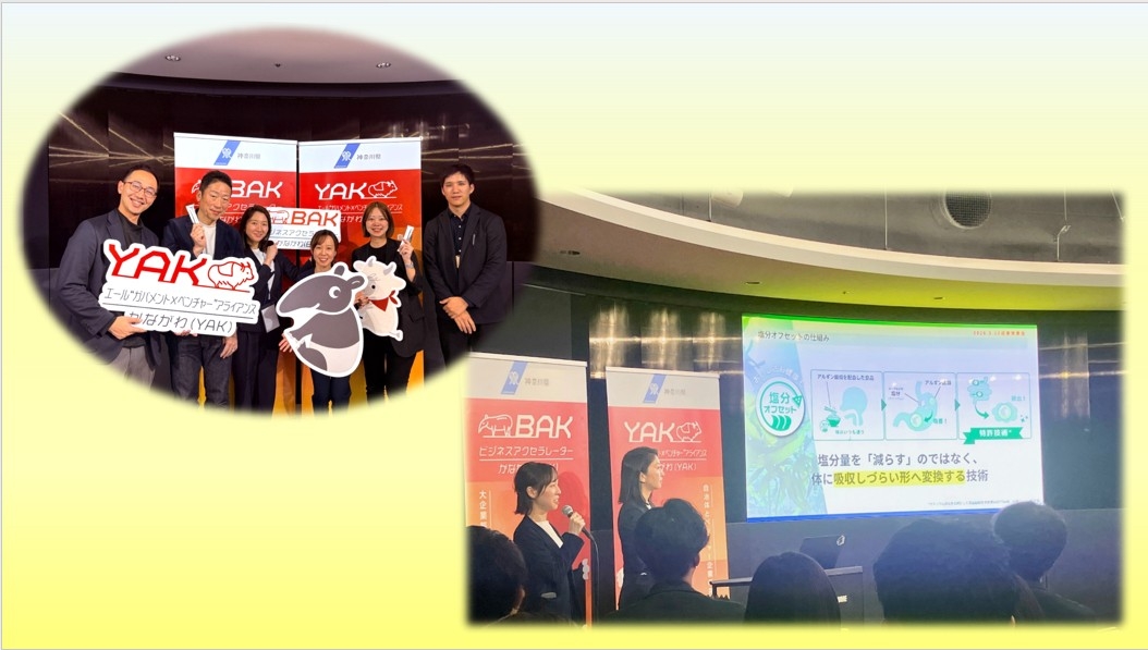 Fbvs6qb1foza47ivzynn