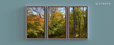 fbXgsGSEd2IsVSdfme23.jpg?w=940&h=940