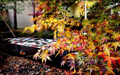 fblKZpFHvH7mxqyYXovE.jpg?w=940&h=940