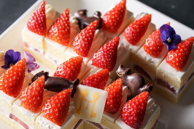 fcLxRqdLofsMj1iQydV6.jpg?w=940&h=940