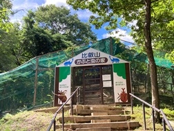 比叡山ドライブで「かぶと虫の家」を楽しもう