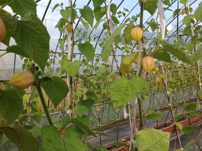 fcr6vB35lg7w3GxKyizt.jpg?w=940&h=940