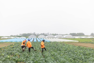 fdS4YFGqVpMEFMyhiwdg.jpg?w=940&h=940